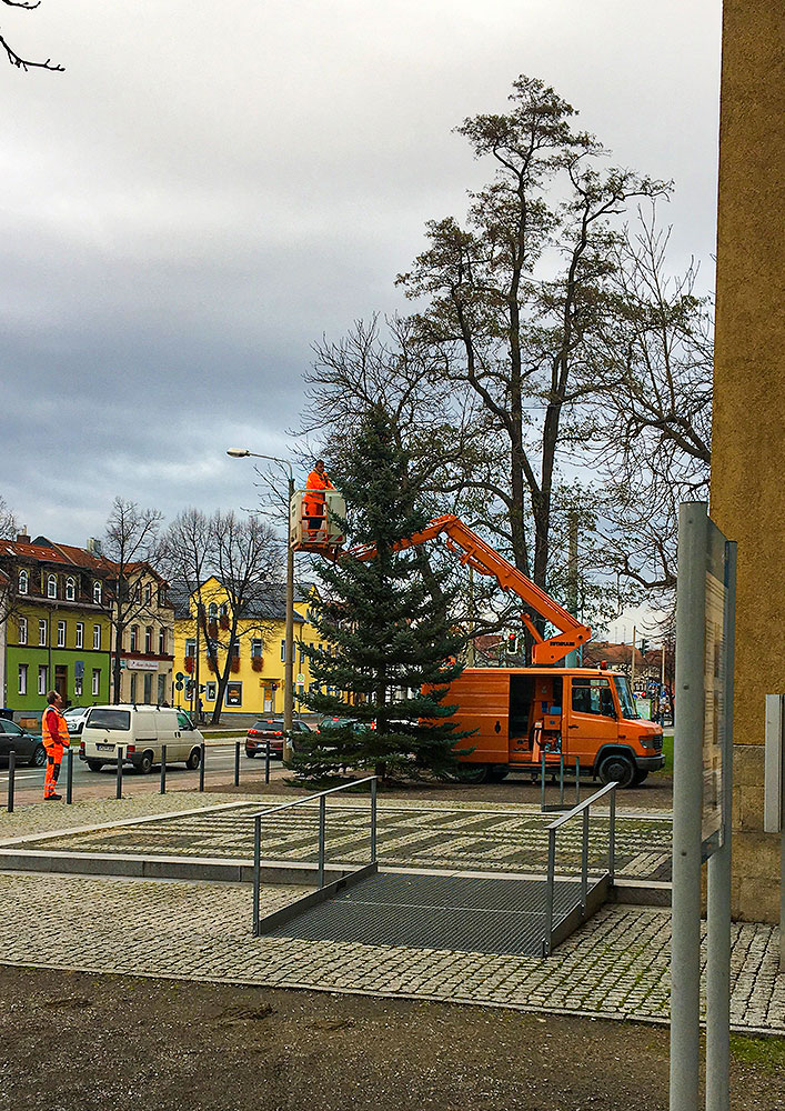 Ein Weihnachtsbaum für den Erfurter Norden - 2019